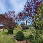 Casa vacanze Spacious With Private Pool And Park *