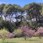 Spacious With Private Pool And Park Puisserguier